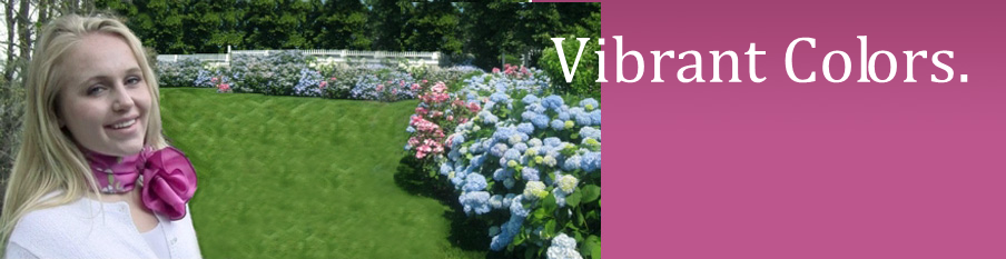 slider image 1621243260e1af0c20-1